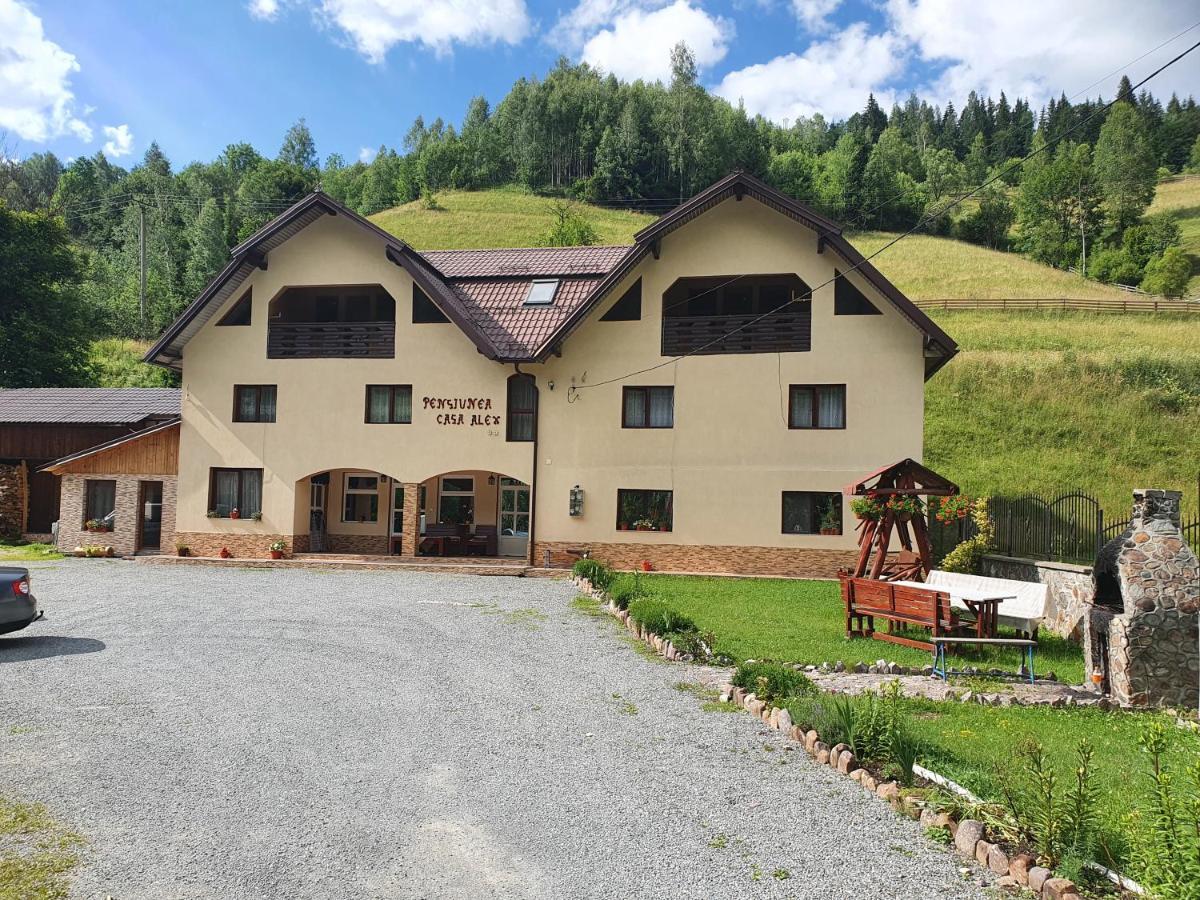 Pensiune Agroturistica Casa Alex Baba Zewnętrze zdjęcie