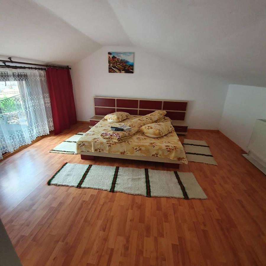 Pensiune Agroturistica Casa Alex Baba Zewnętrze zdjęcie