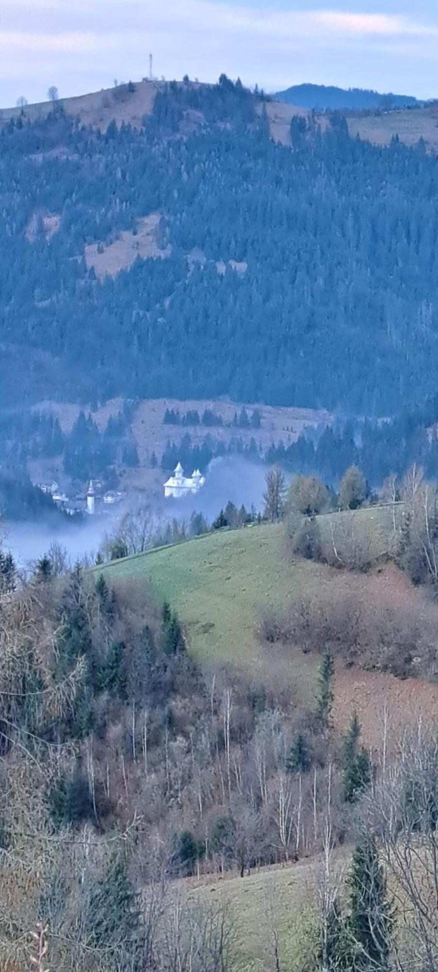Pensiune Agroturistica Casa Alex Baba Zewnętrze zdjęcie